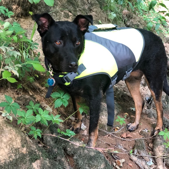 Meet your Posher, Natalie - Picture 10 of 13